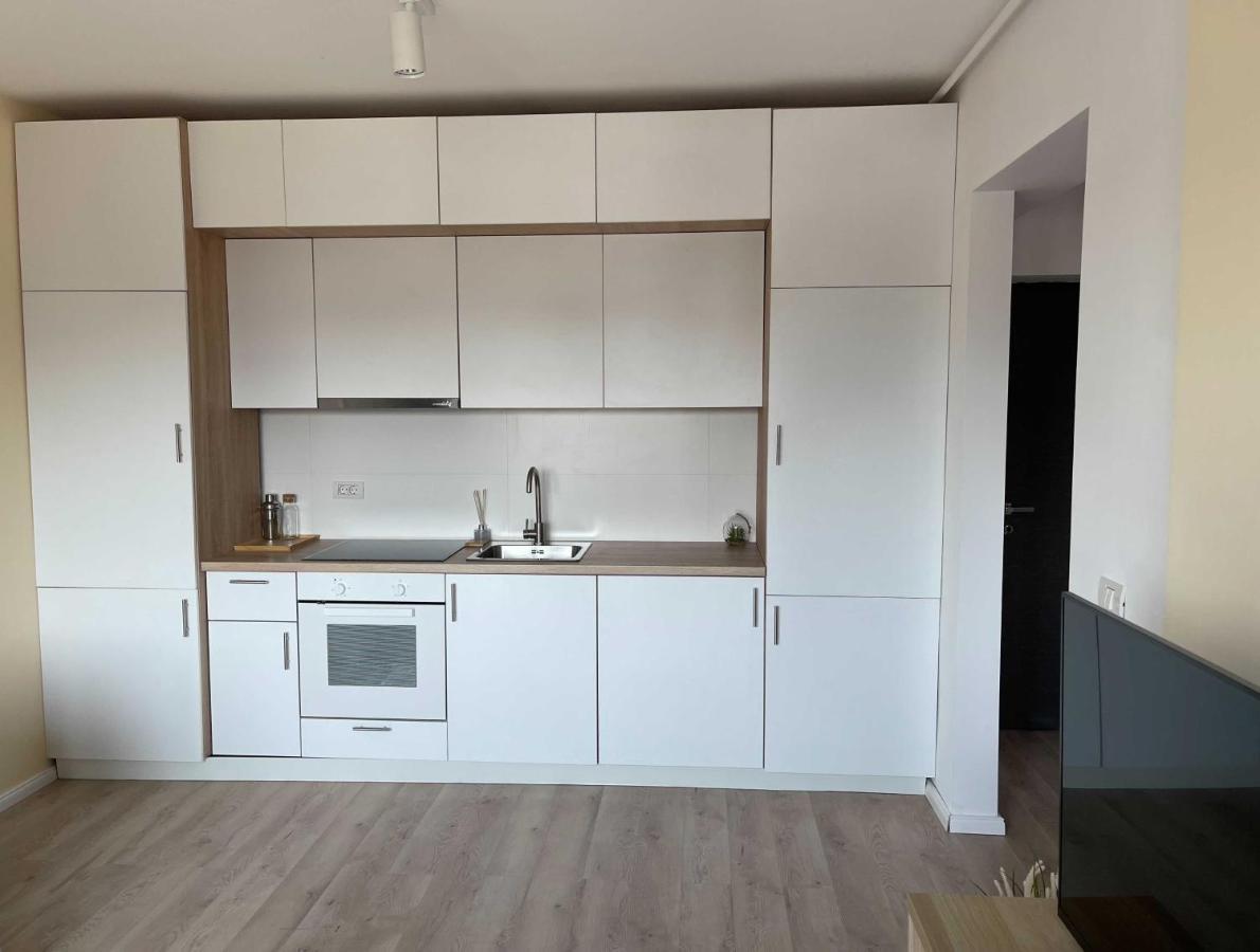 Platinum Luxury Apartment Near Presidential Palace Bucareste Exterior foto